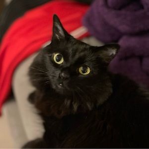 Meet your Posher, Darby